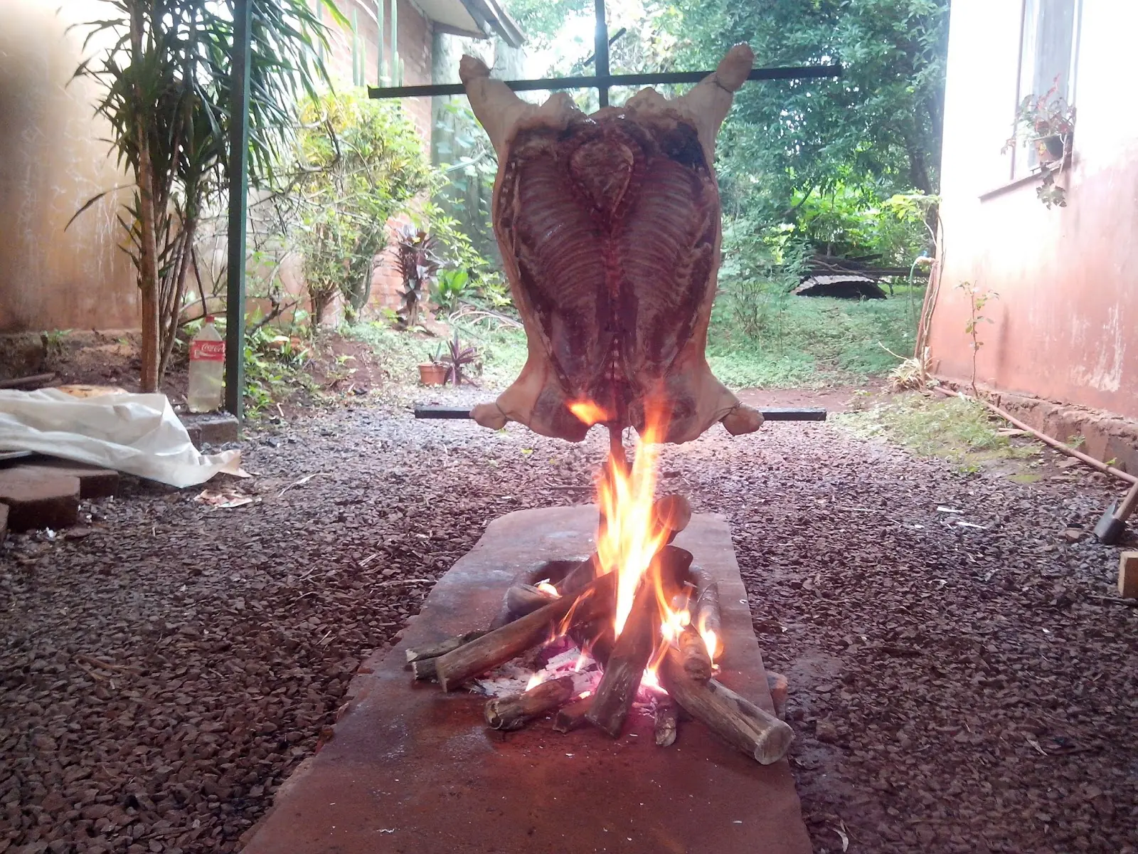 Mi chanchito a la llama de Navidad