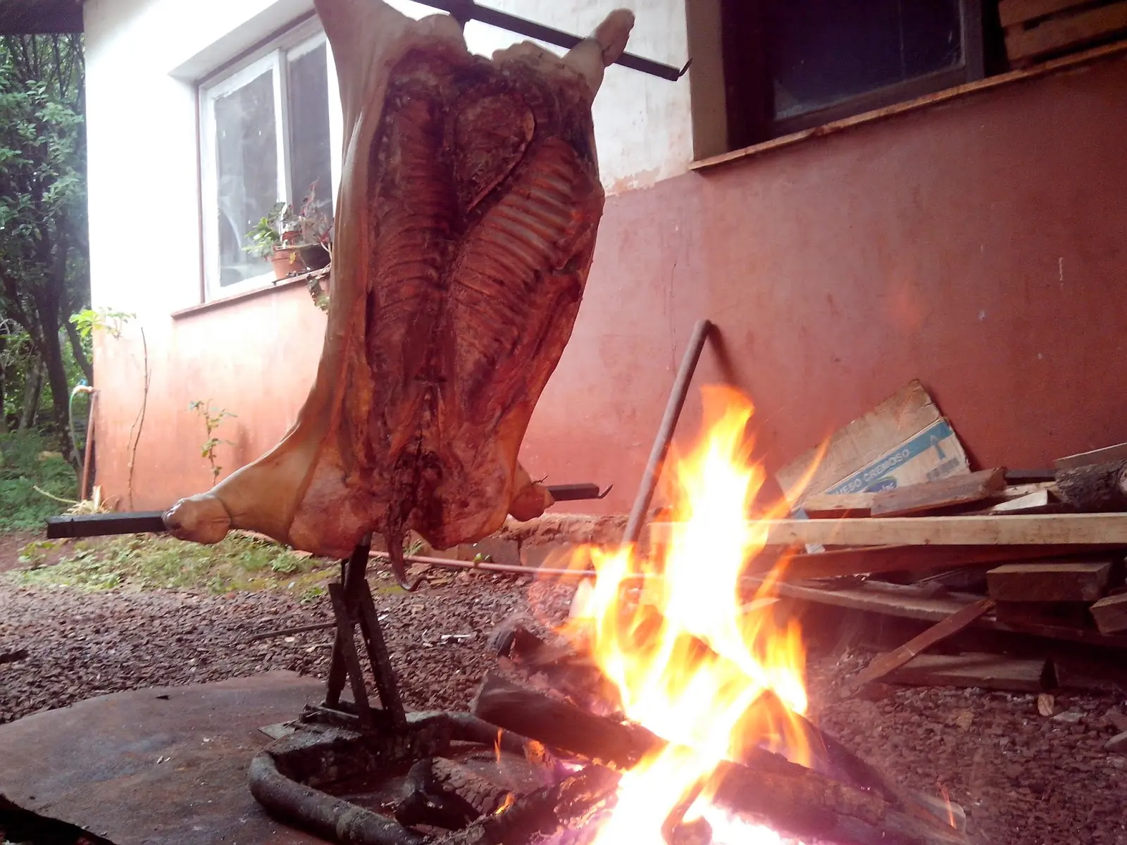 Cocina