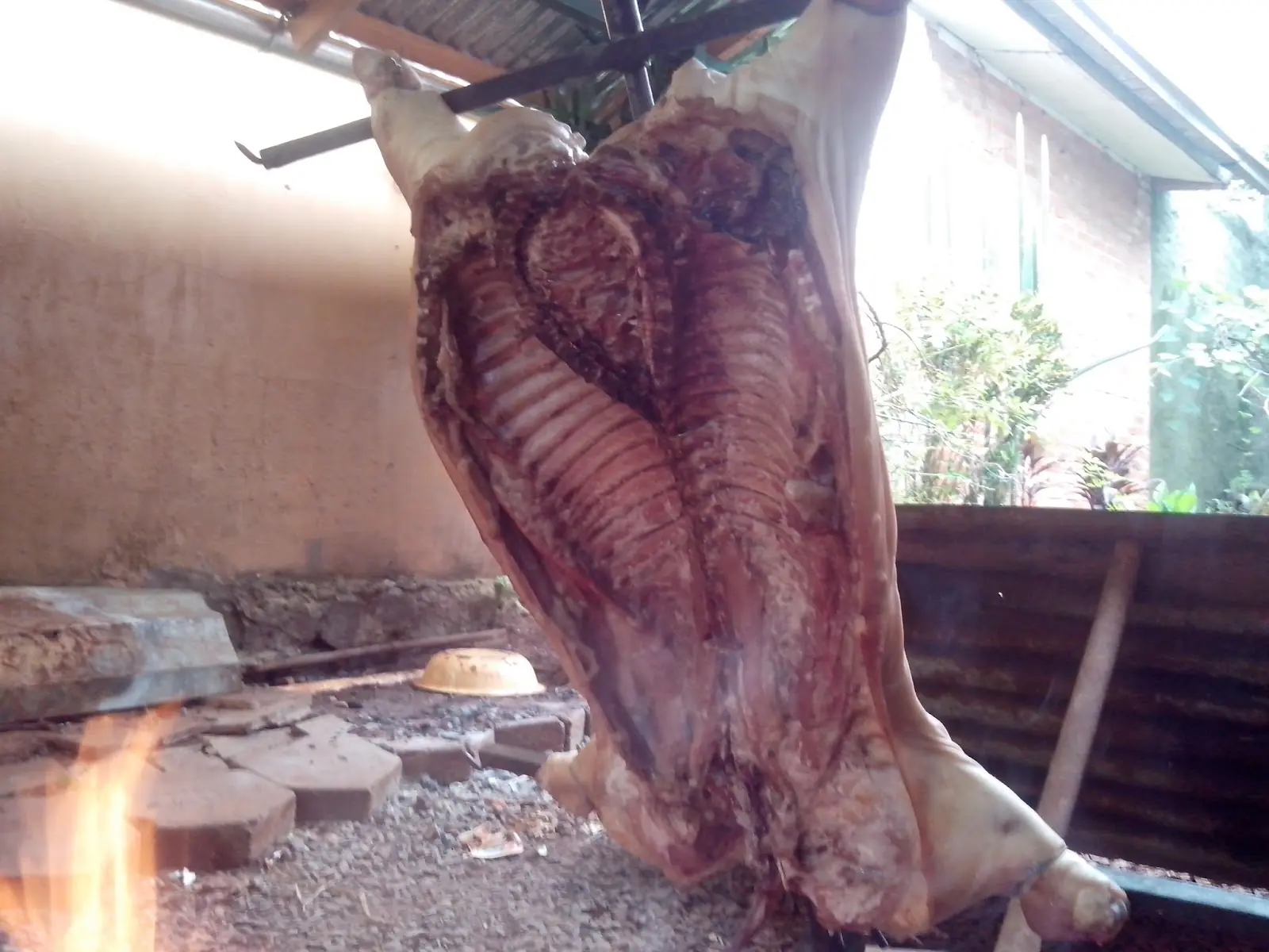 Chancho