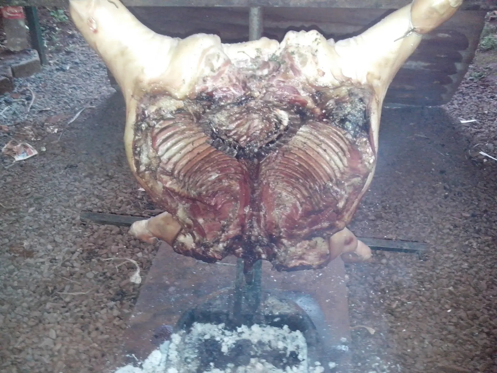 Chancho