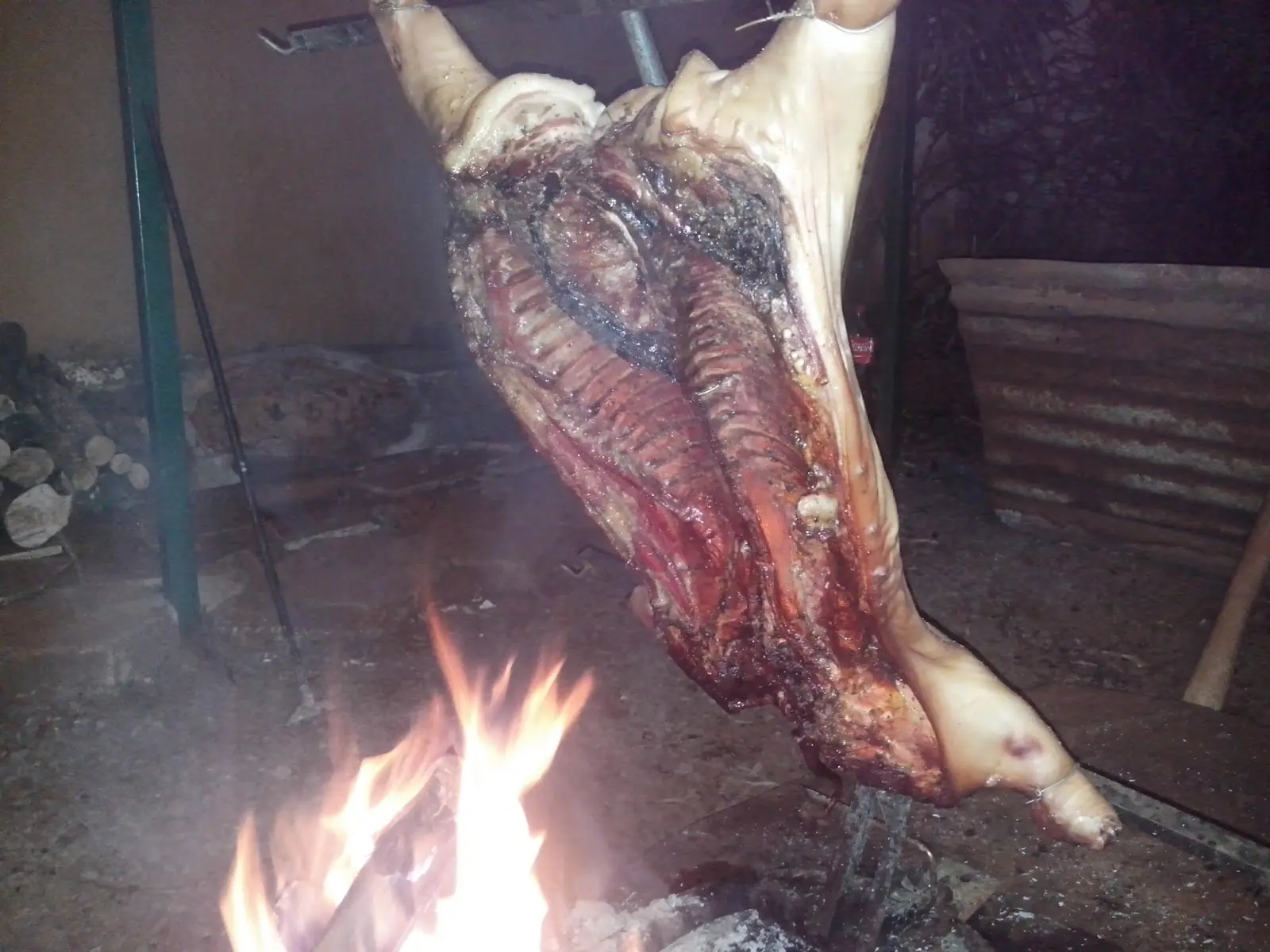 Chancho