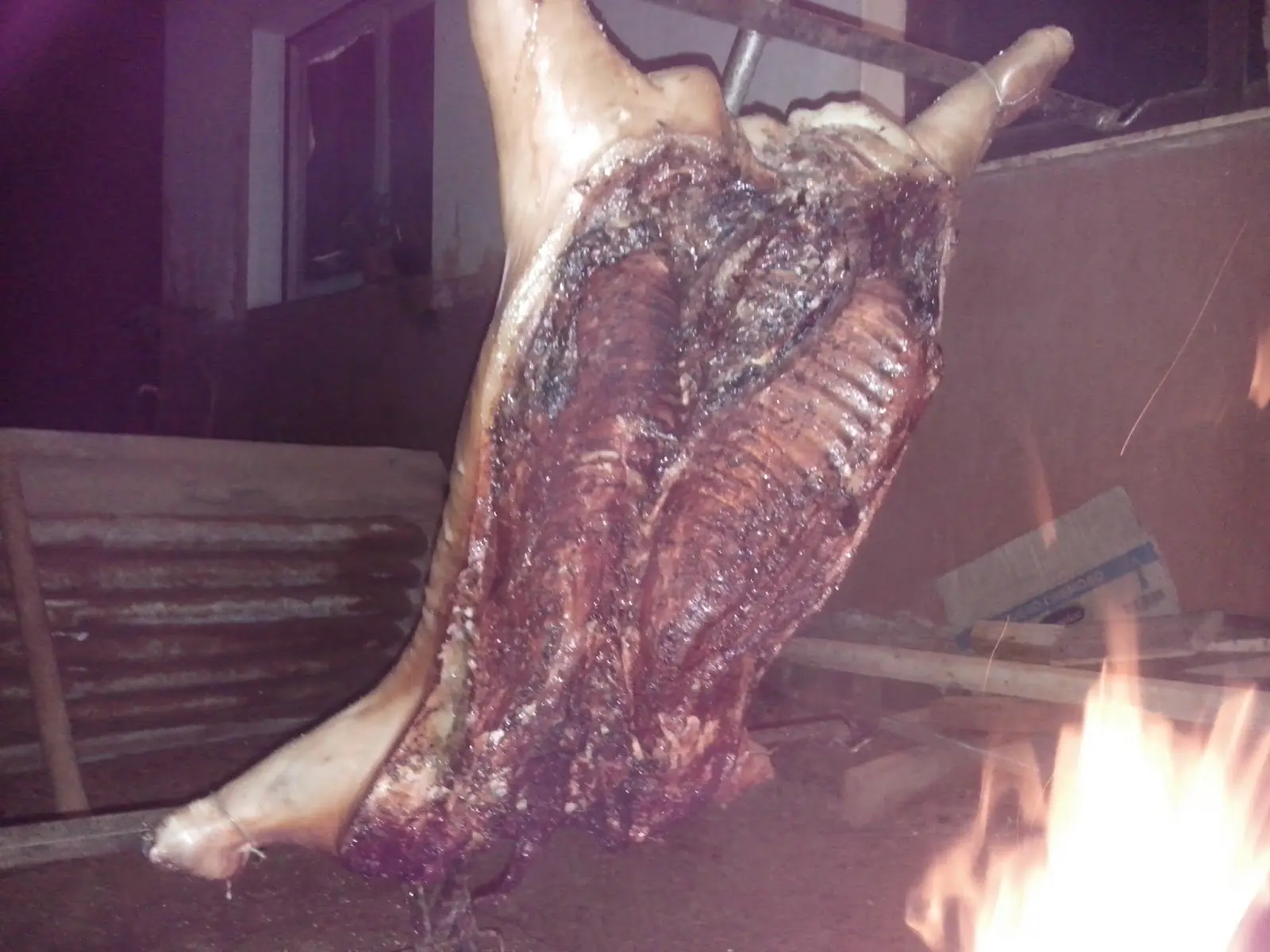 Chancho
