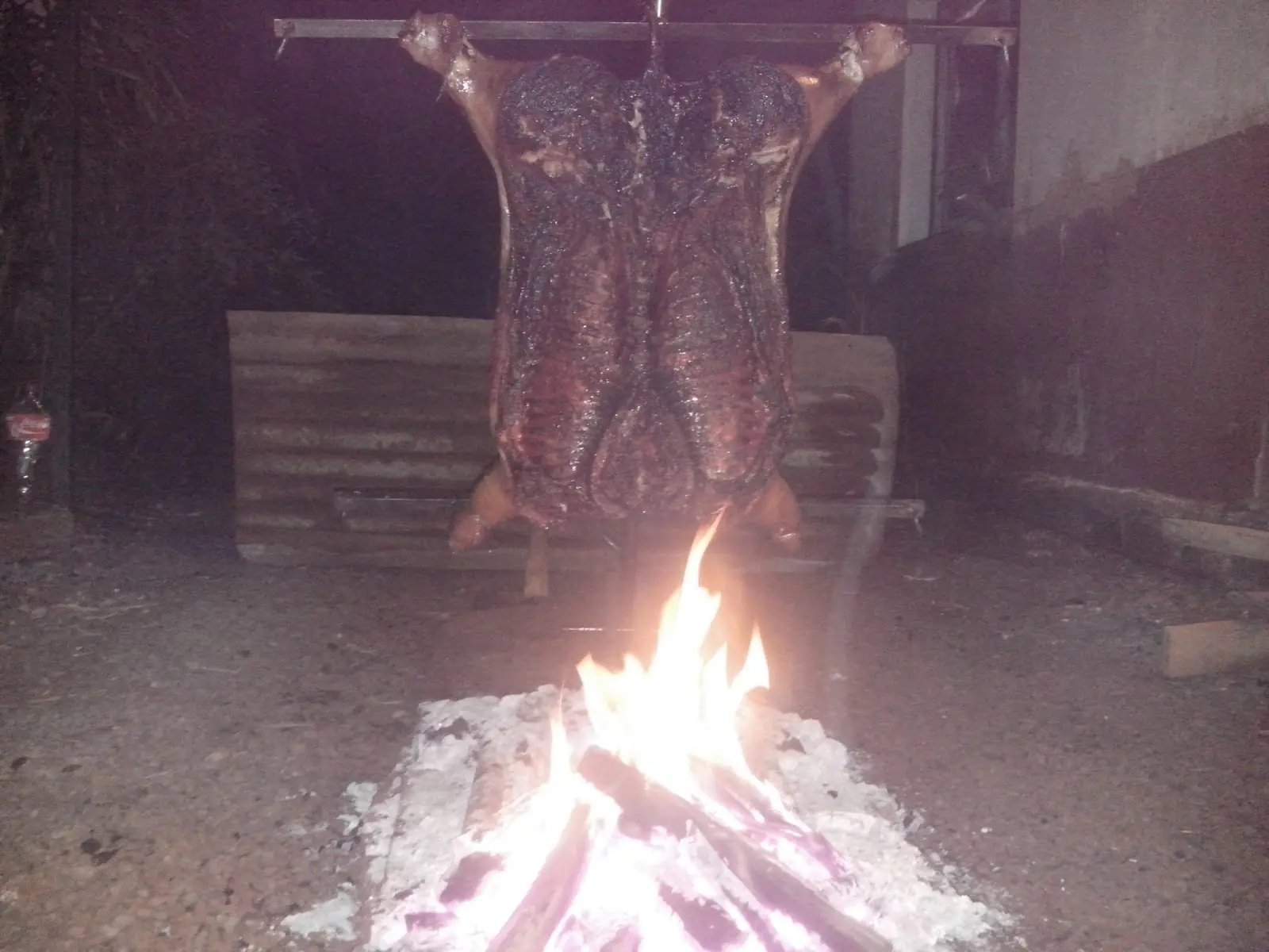 Chancho