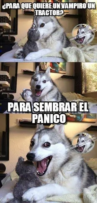 perro