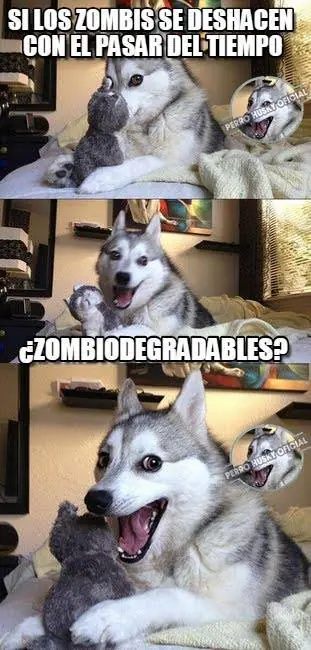 perro