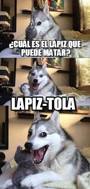 perro