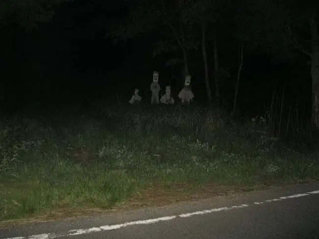 terrorificas encontradas