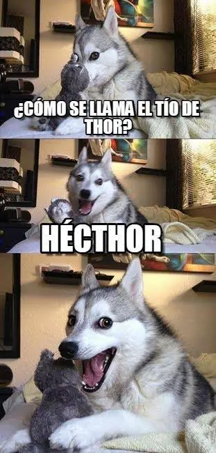 Reite De Los Chistes Del Perro (Meme Del Perro)