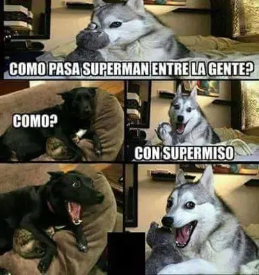 perro