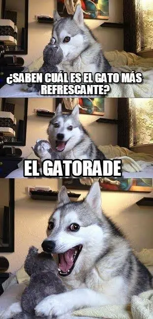 Reite De Los Chistes Del Perro (Meme Del Perro)