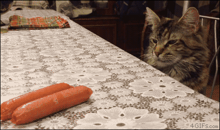 Gifs graciosos + mi agregado Vers. 84