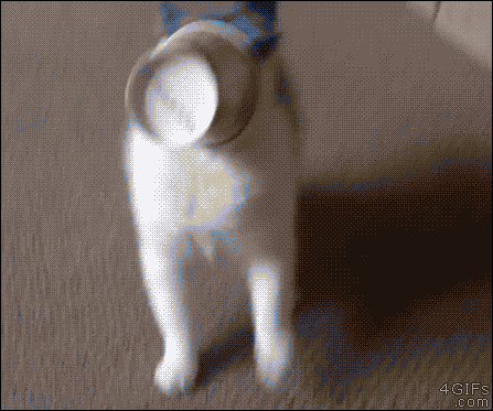 Gifs