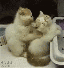 Gifs graciosos + mi agregado Vers. 84