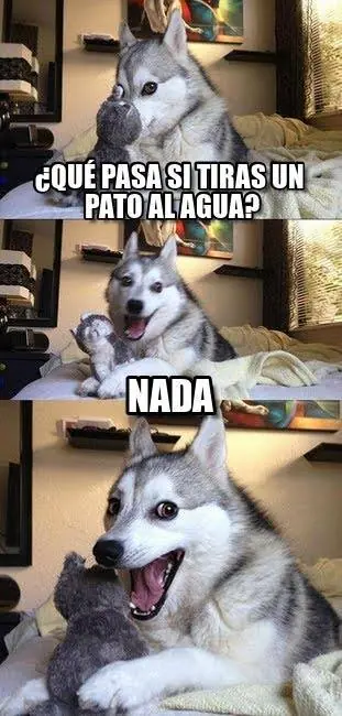 Reite De Los Chistes Del Perro (Meme Del Perro)
