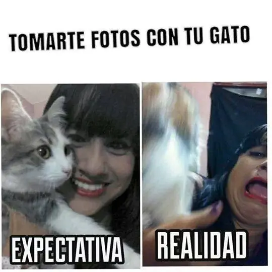 realidad realidad