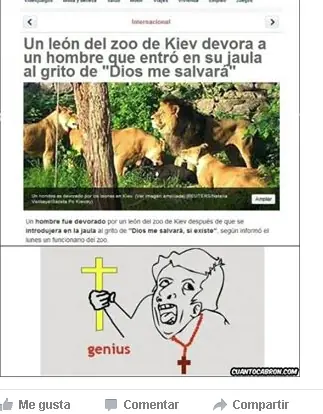 fotos