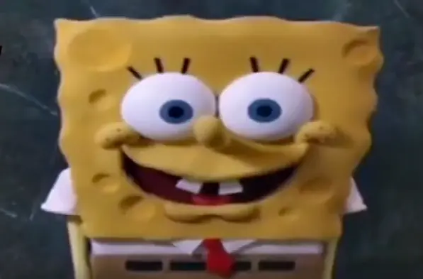 ned