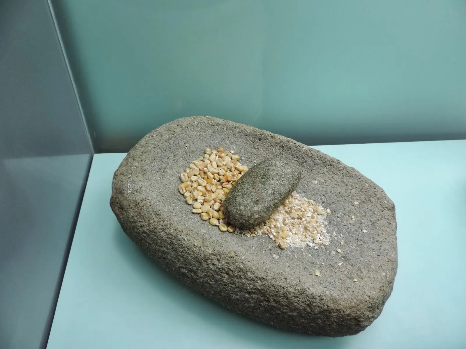 Son las Rocas las mejores Mascostas?