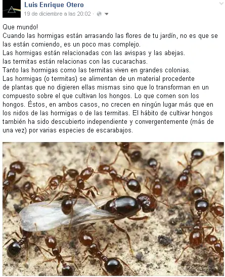 De todo un poco
