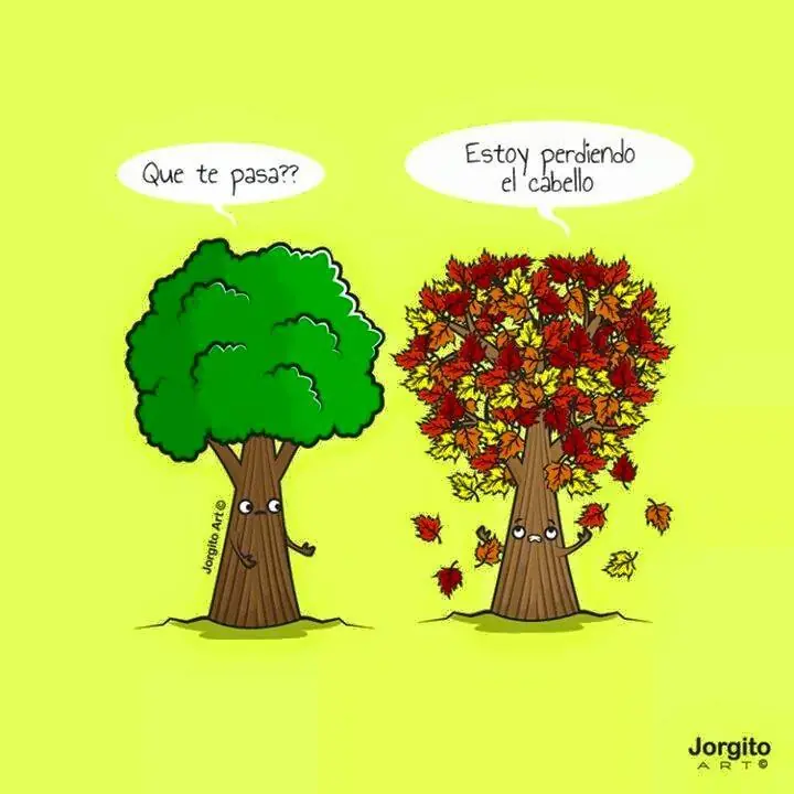 Imagenes graciosas