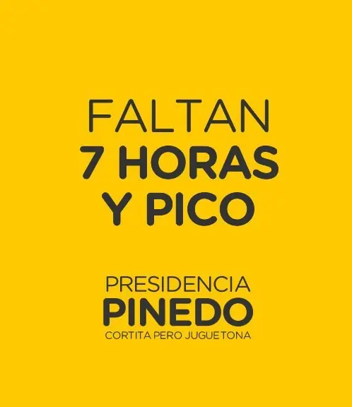 pinedo