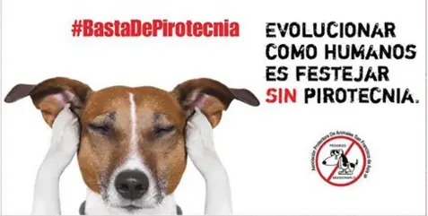 imagenes