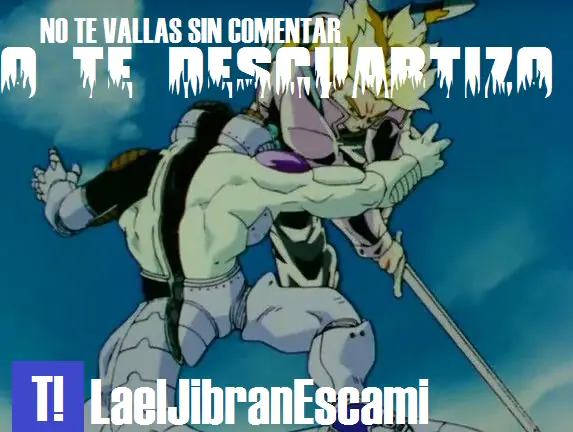 Toei Animation