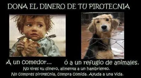 fin de ano