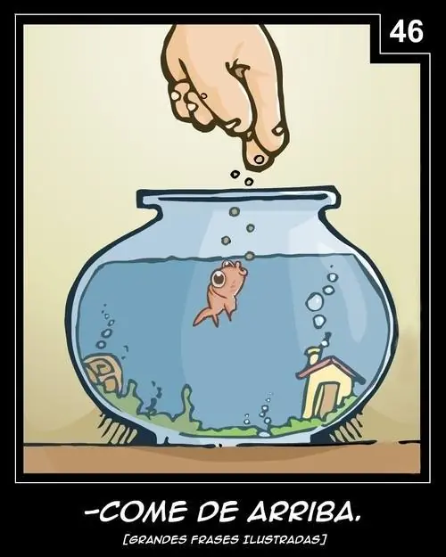 Humor Grafico