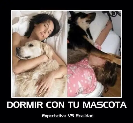 imagenes imagenes