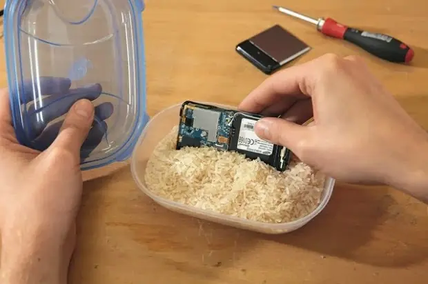 mojado