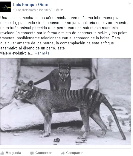 imagenes