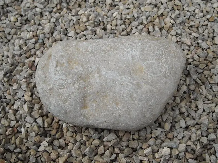 Son las Rocas las mejores Mascostas?