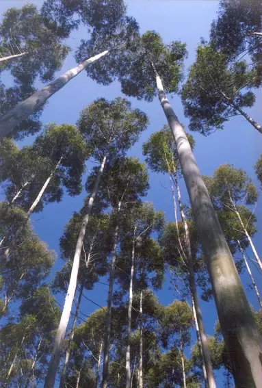 Hazte una antena con poco material!!!