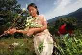 De la economía verde, l@s indignad@s y los foros sociales