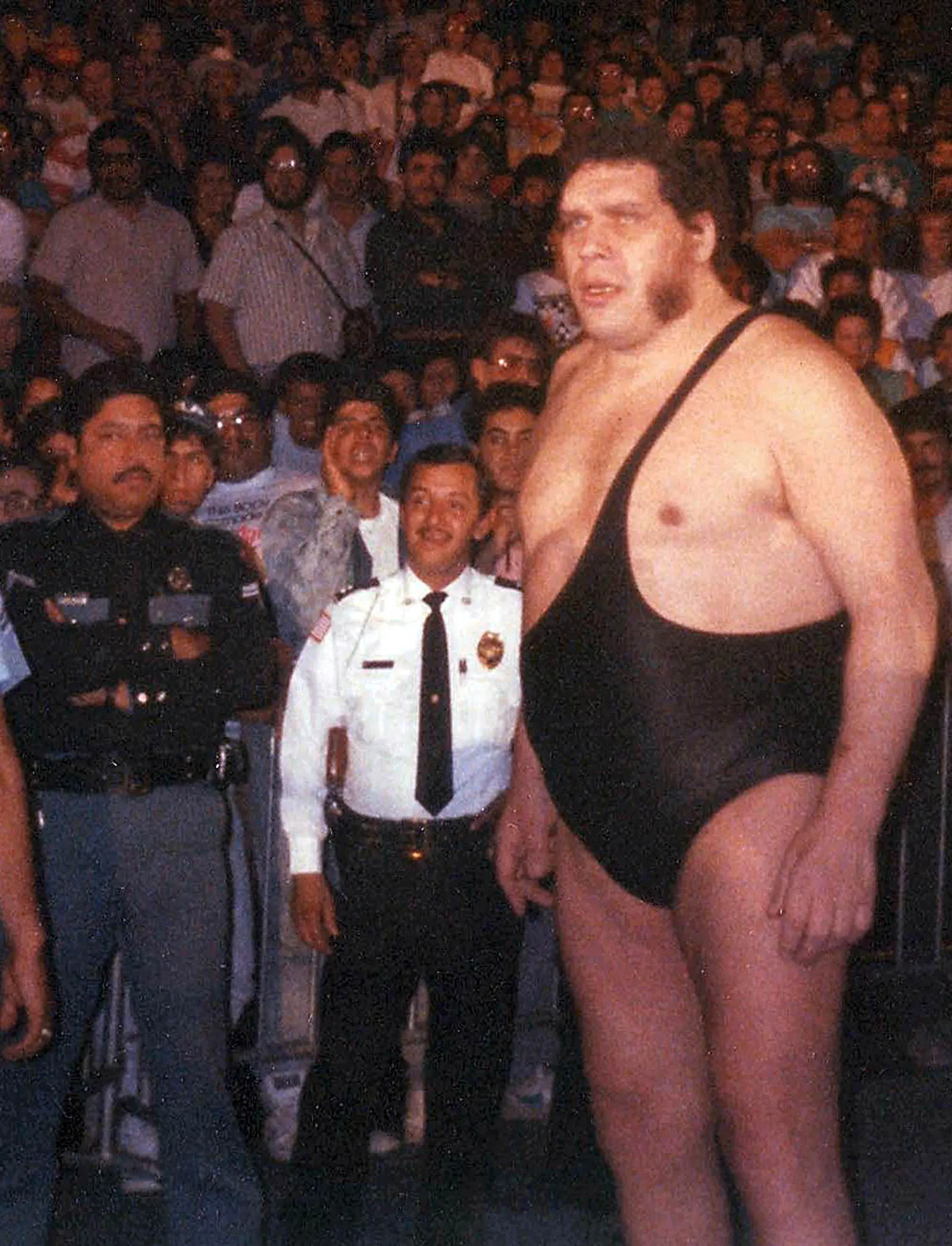 Los Luchadores mas pesados de la WWE