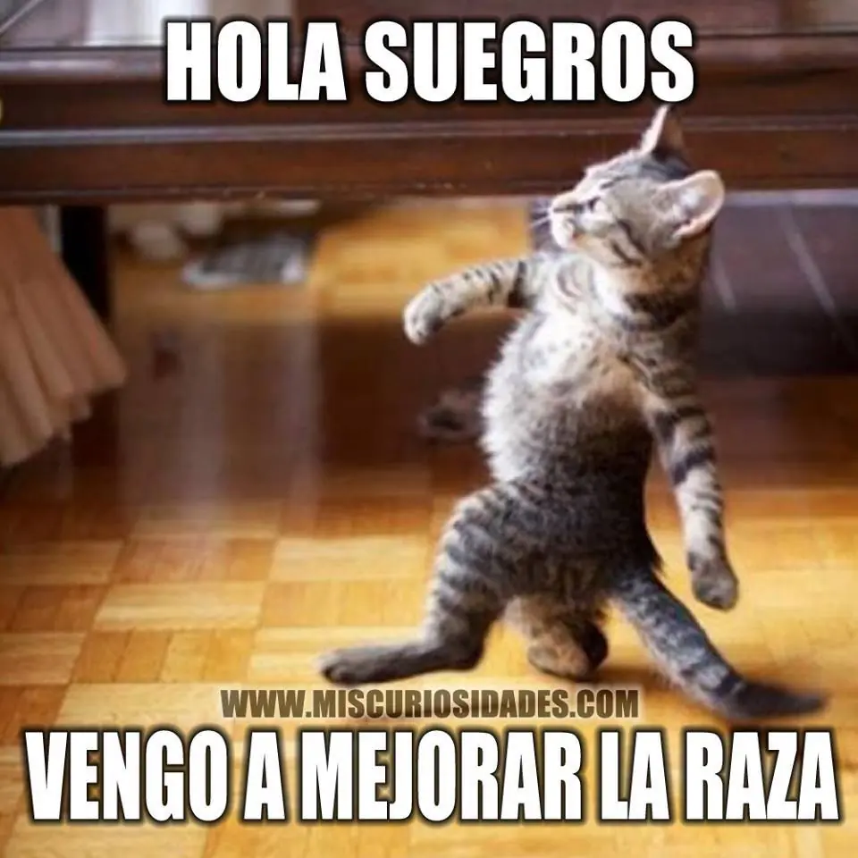 No te vayas a dormir sin una ultima sonrisa - 30/12
