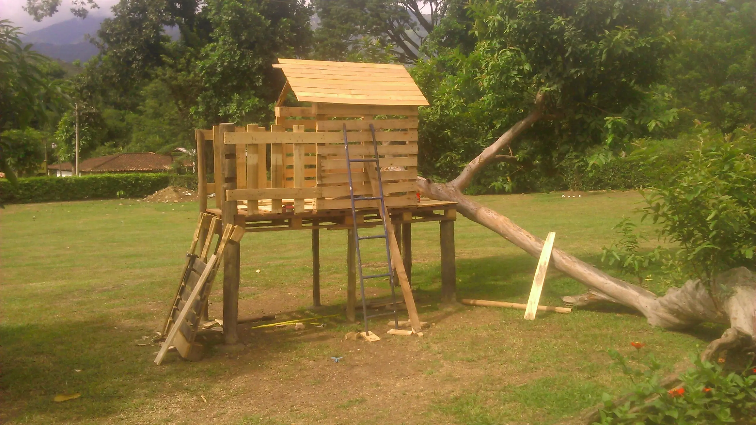 casa en arbol