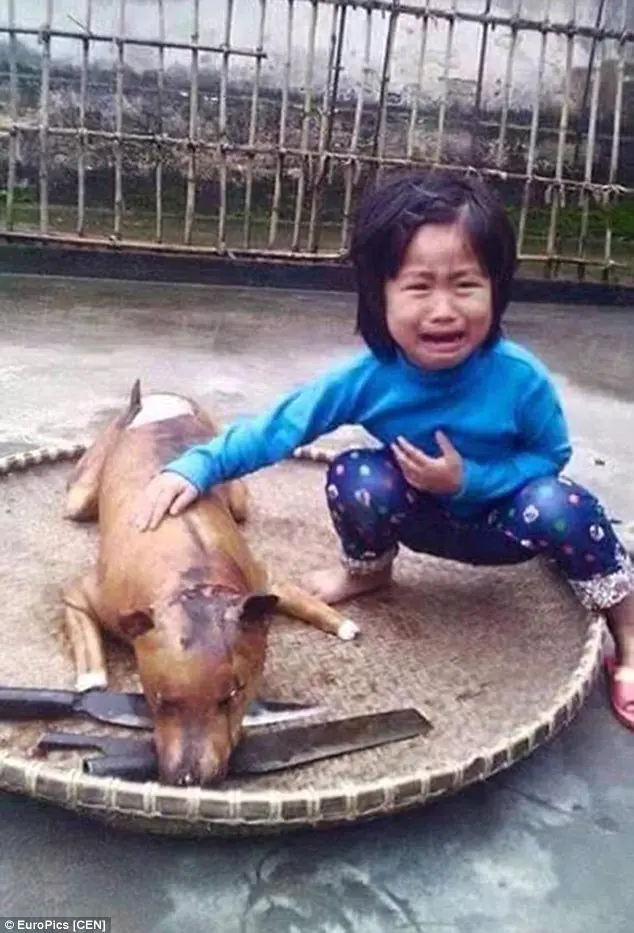 Niña pierde su perro y lo halla días después en restaurante