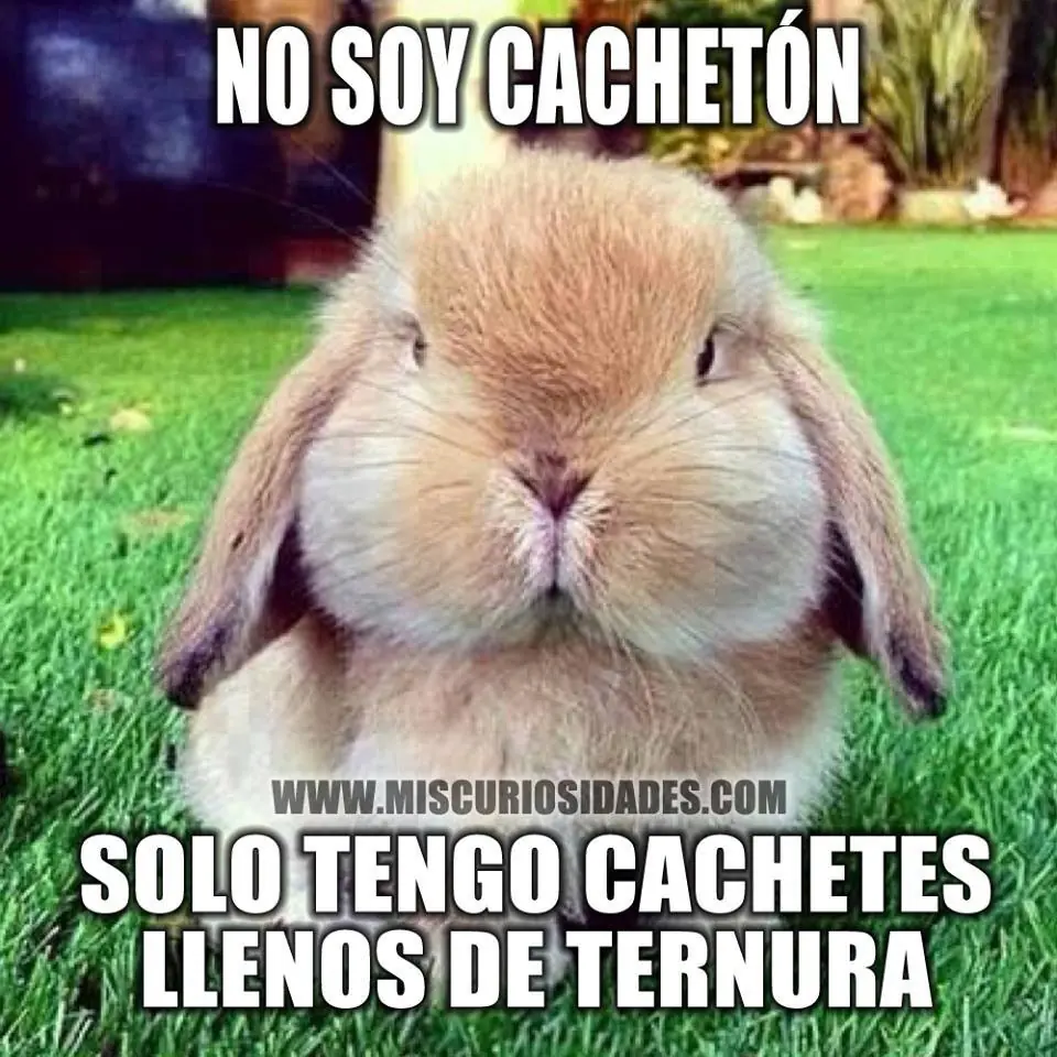 sonrisa