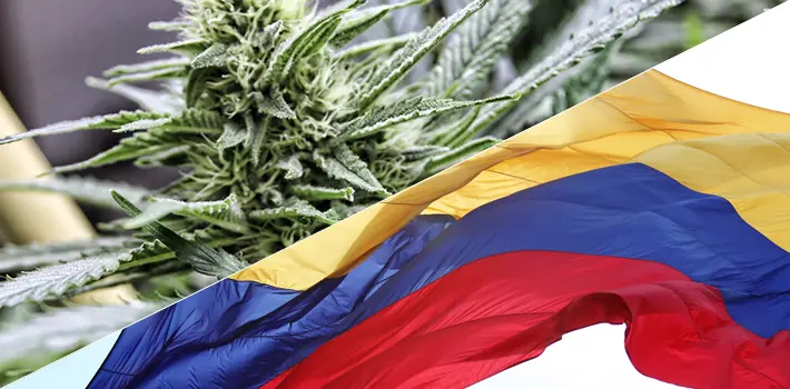 Se debe legalizar la marihuana en Argentina?