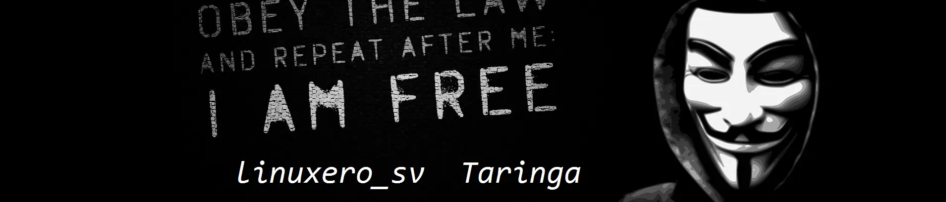 Solar Paper Cargador Solar Para Smartphones que es un éxito