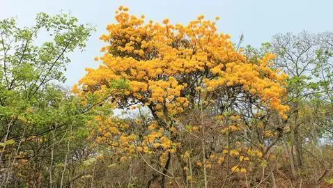 Paisaje