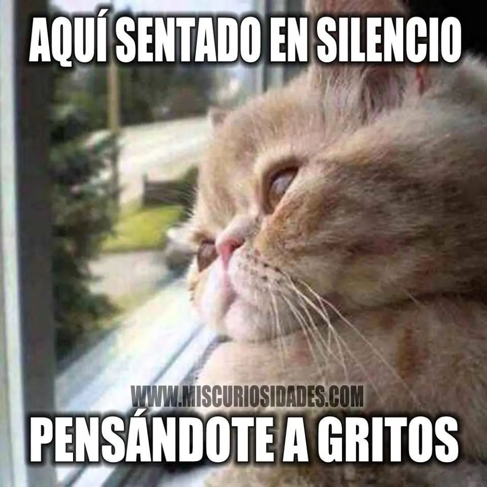 no te vayas