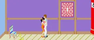 kung fu master