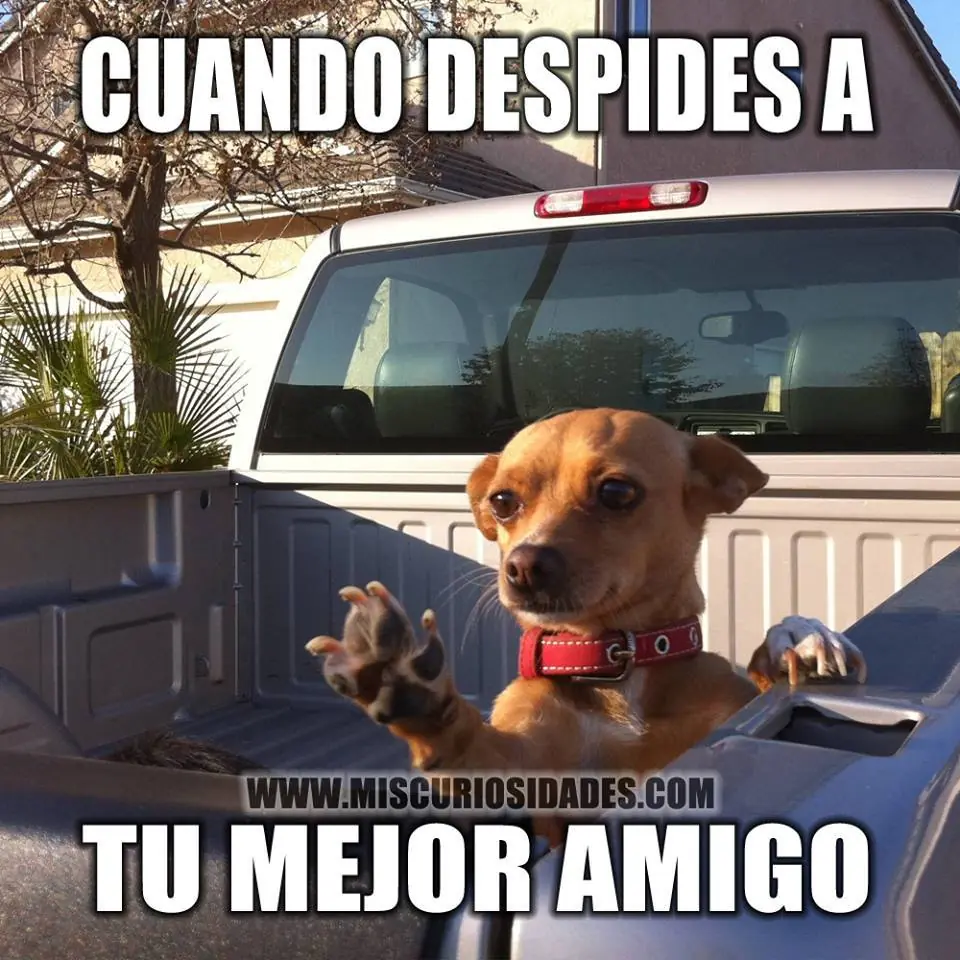 No te vayas a dormir sin una ultima sonrisa - 30/12