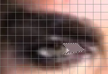 tutorial