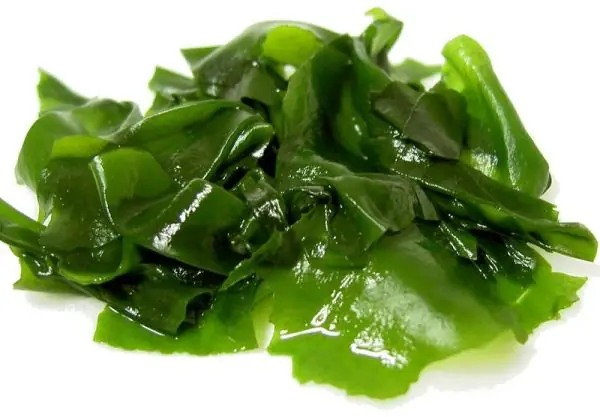 12 Alimentos que ta daran onda vital
