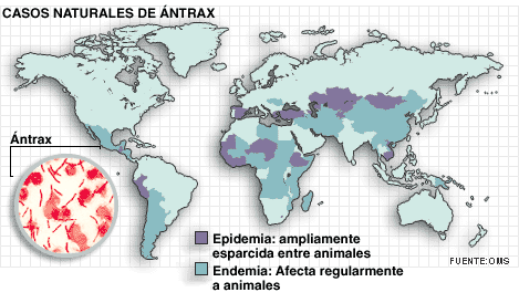antrax