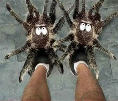 horror